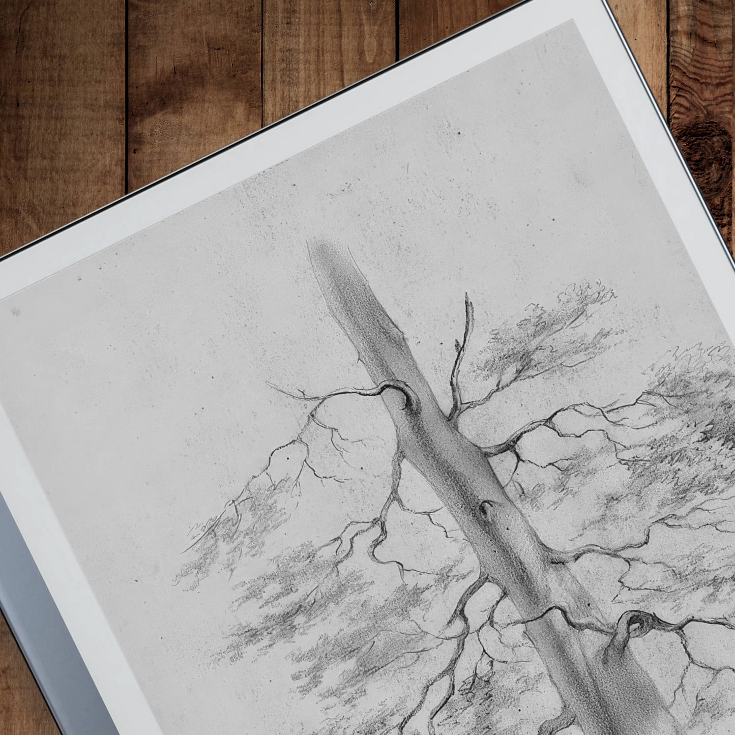 Remarkable 2 Sleep Screen & Notebook Cover Artwork - Original Hand-Rendered Tree Drawings