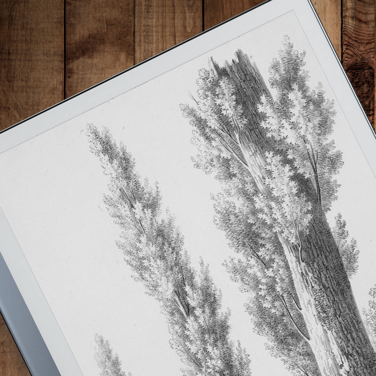 Remarkable 2 Sleep Screen & Notebook Cover Artwork - Unique Handmade Tree Artistry