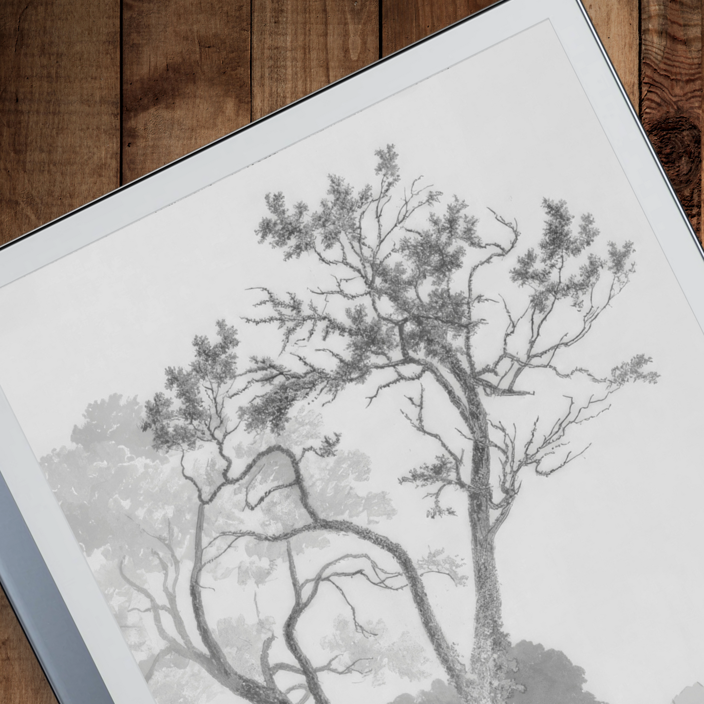 Remarkable 2 Sleep Screen & Notebook Cover Artwork - Orchard Trees