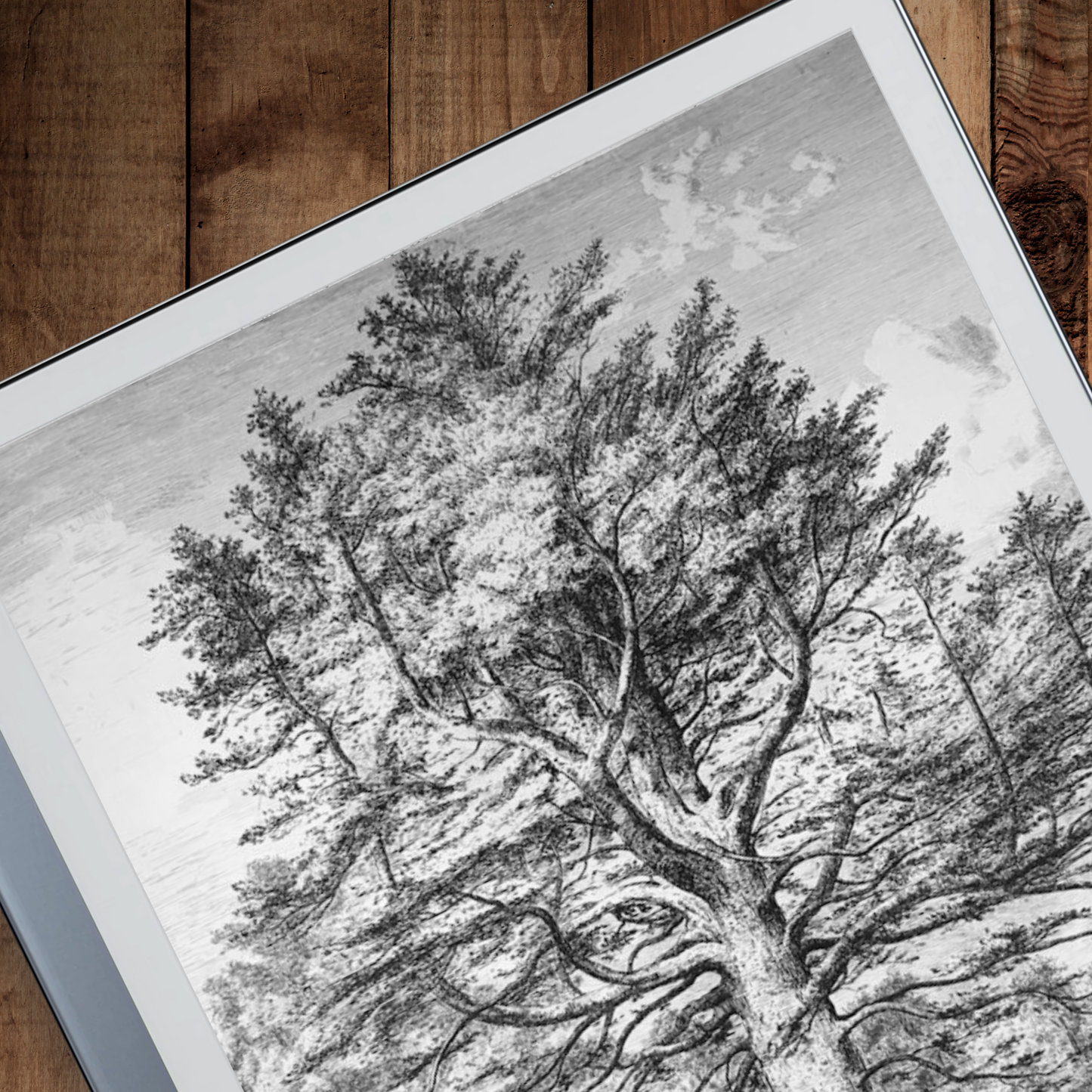 Remarkable 2 Sleep Screen & Notebook Cover Artwork - Creative Tree Sketches by Hand
