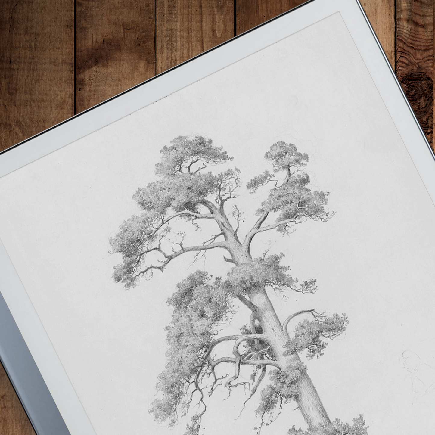 Remarkable 2 Sleep Screen & Notebook Cover Artwork - Inspirational Hand-Drawn Foliage Art