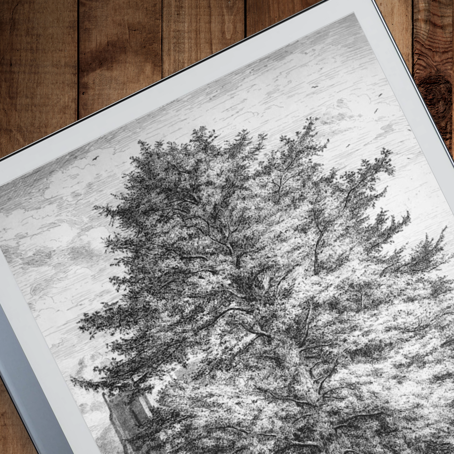 Remarkable 2 Sleep Screen & Notebook Cover Artwork - Artistic Foliage Drawings Created by Hand