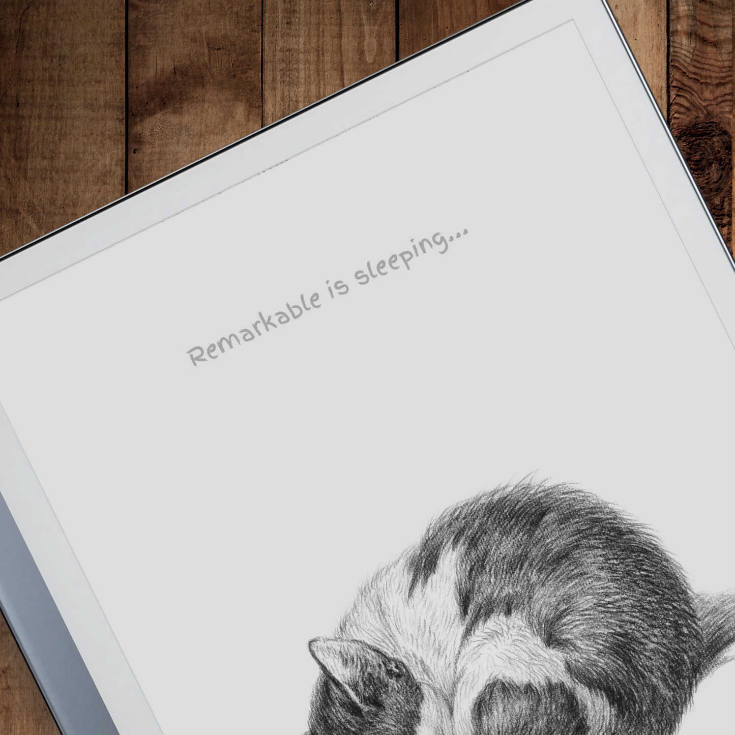 Remarkable 2 Sleep Screen & Notebook Cover Artwork - Hand-drawn Adorable Sleeping Cat