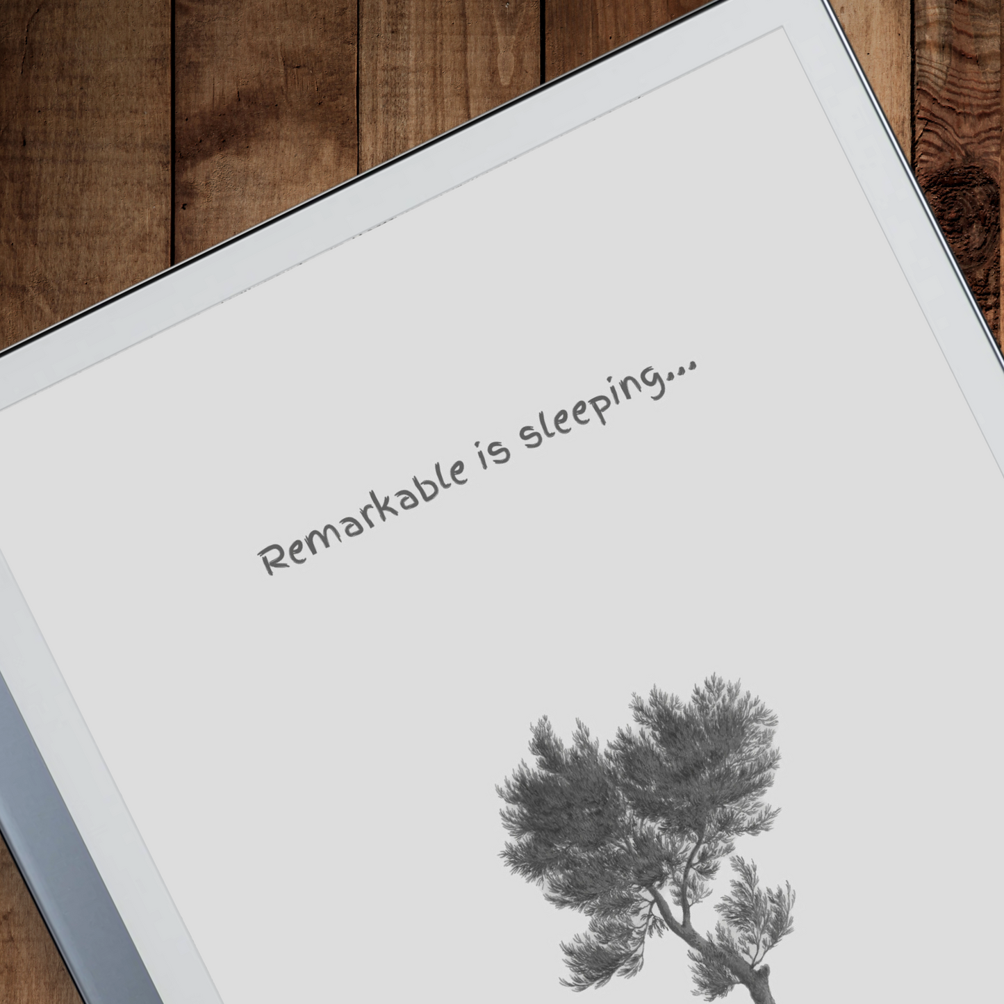 Remarkable 2 Sleep Screen & Notebook Cover Artwork - East African Pencil Cedar