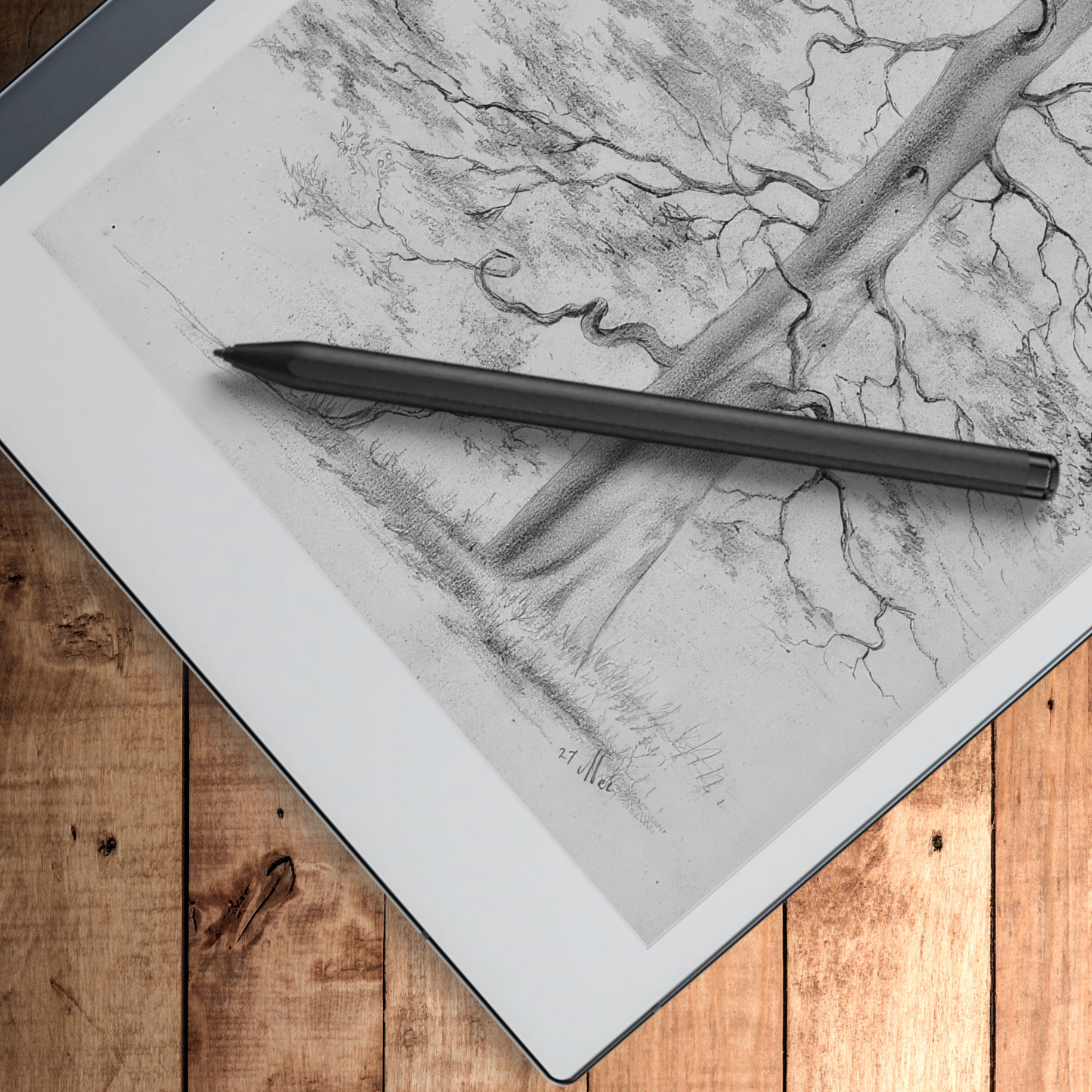 Remarkable 2 Sleep Screen & Notebook Cover Artwork - Original Hand-Rendered Tree Drawings