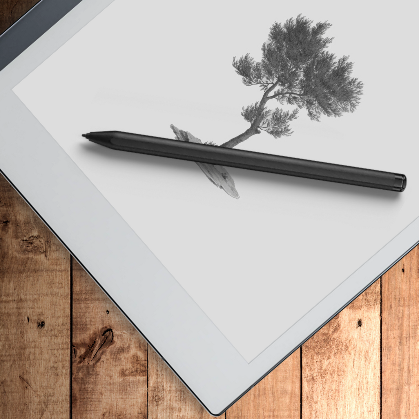 Remarkable 2 Sleep Screen & Notebook Cover Artwork - East African Pencil Cedar