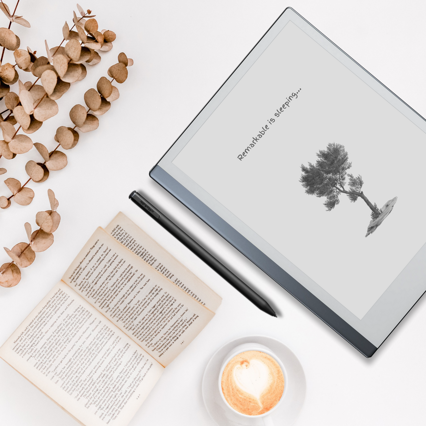 Remarkable 2 Sleep Screen & Notebook Cover Artwork - East African Pencil Cedar