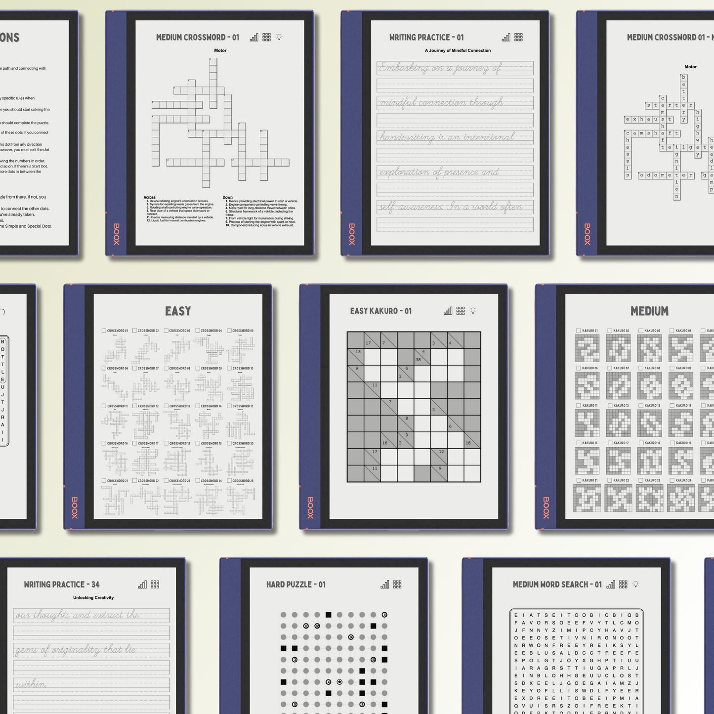 Onyx Boox Puzzle Bundle in use.