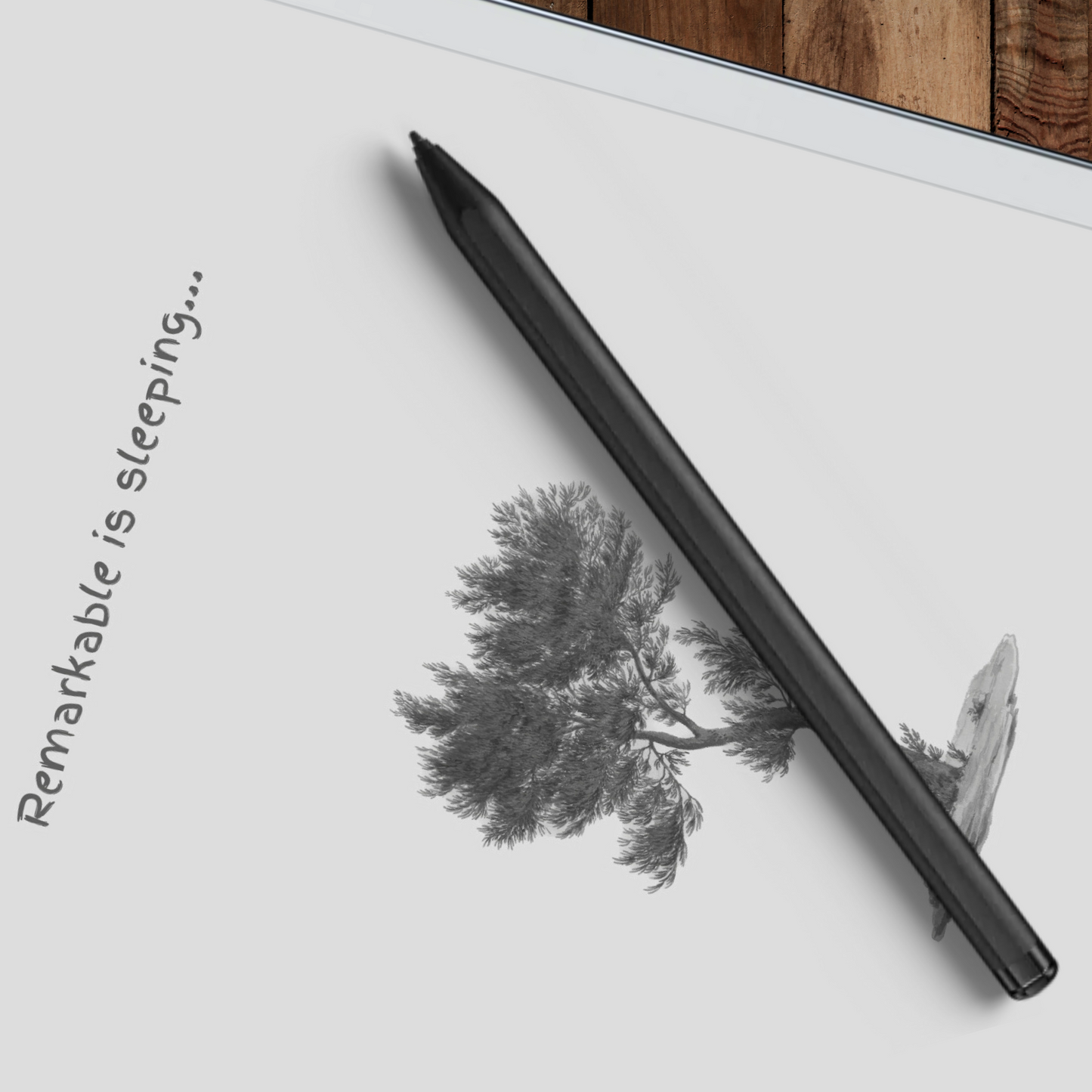 Remarkable 2 Sleep Screen & Notebook Cover Artwork - East African Pencil Cedar