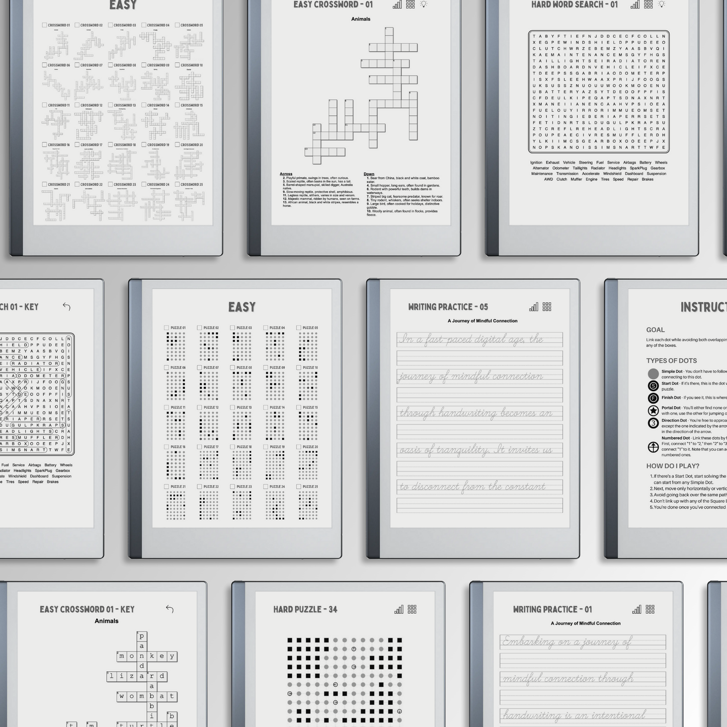 Remarkable 2 Puzzle Bundle in use.