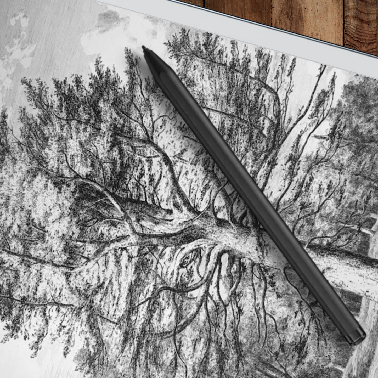 Remarkable 2 Sleep Screen & Notebook Cover Artwork - Creative Tree Sketches by Hand