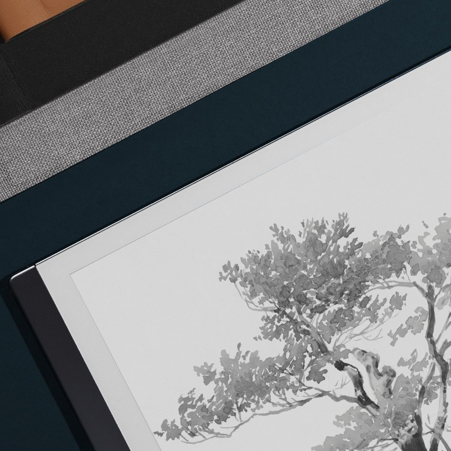 Remarkable 2 Sleep Screen & Notebook Cover Artwork - Deciduous Tree