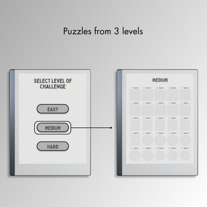 Remarkable 2 Maze Puzzles in 3 different levels.