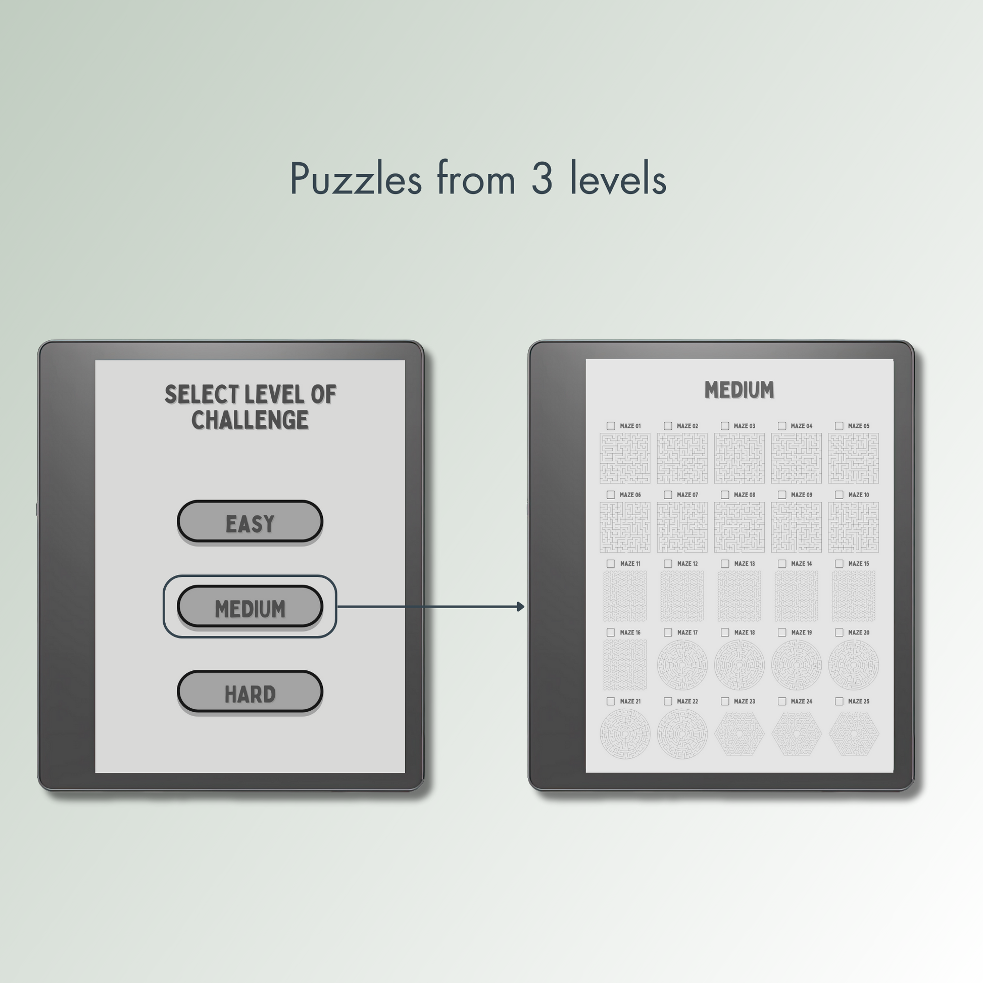 Kindle Scribe Maze Puzzles in 3 different levels.