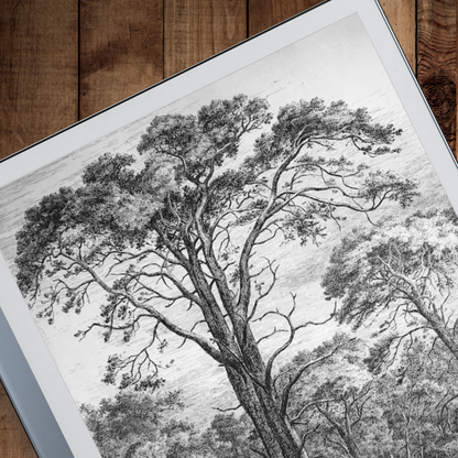 Remarkable 2 Sleep Screen & Notebook Cover Artwork - One-of-a-Kind Hand-Drawn Arboreal Artwork