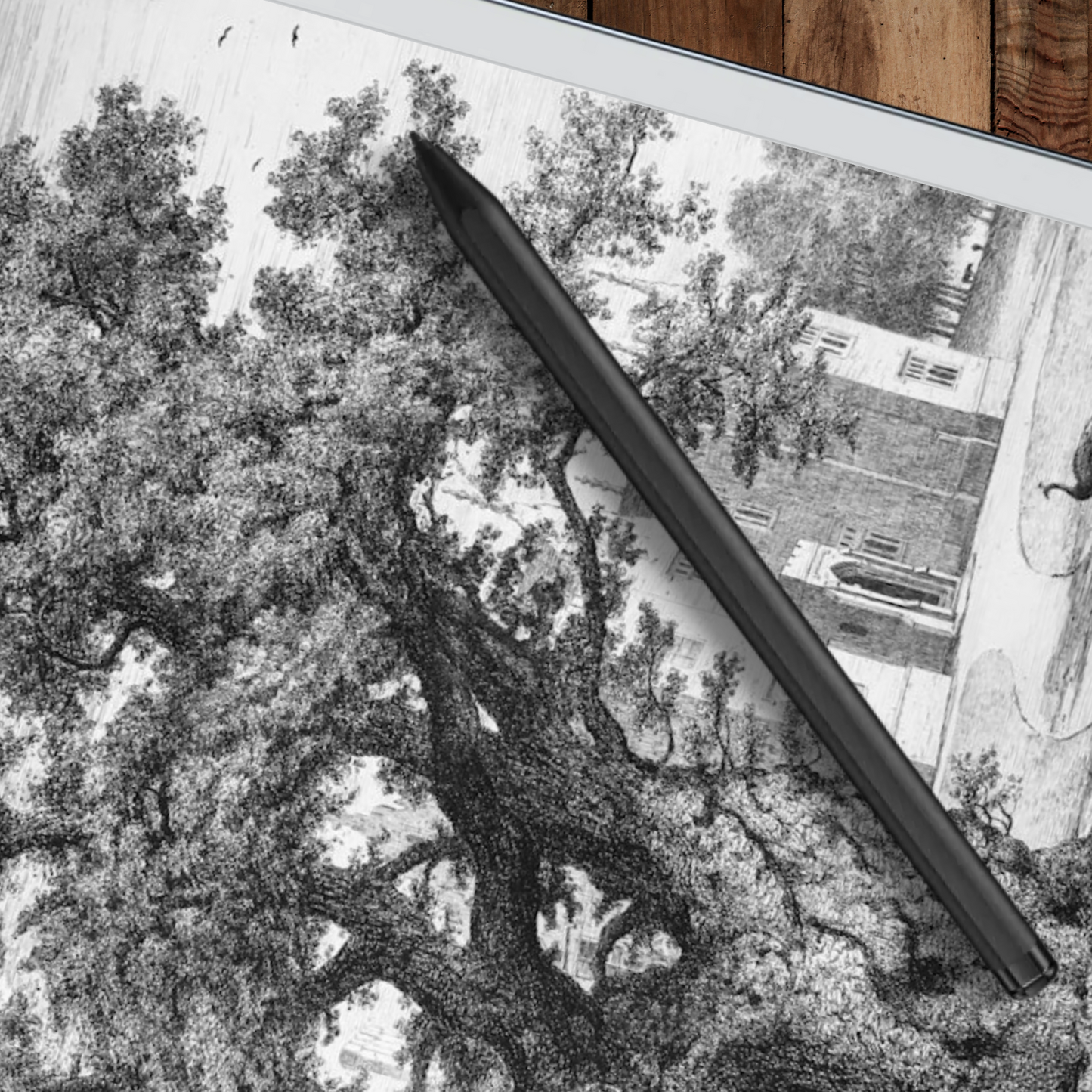 Remarkable 2 Sleep Screen & Notebook Cover Artwork - Intricate Handcrafted Tree Illustrations