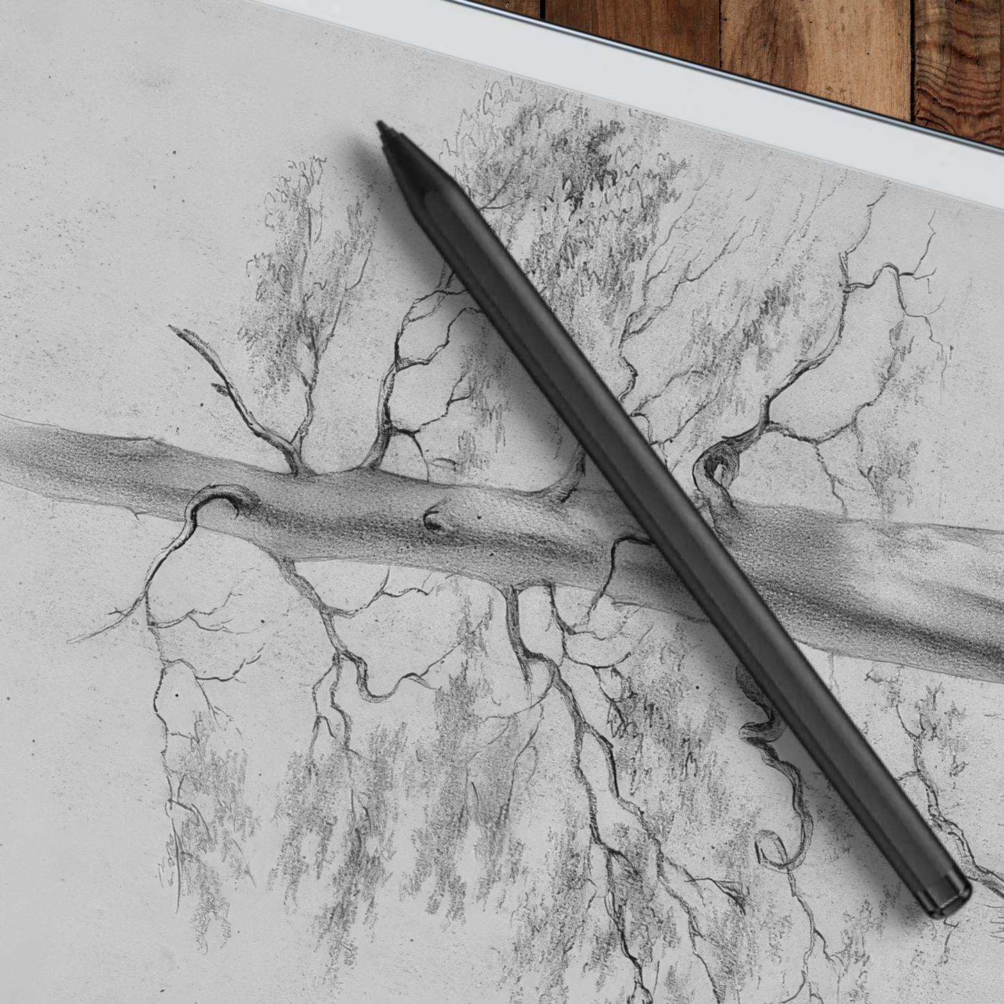 Remarkable 2 Sleep Screen & Notebook Cover Artwork - Original Hand-Rendered Tree Drawings