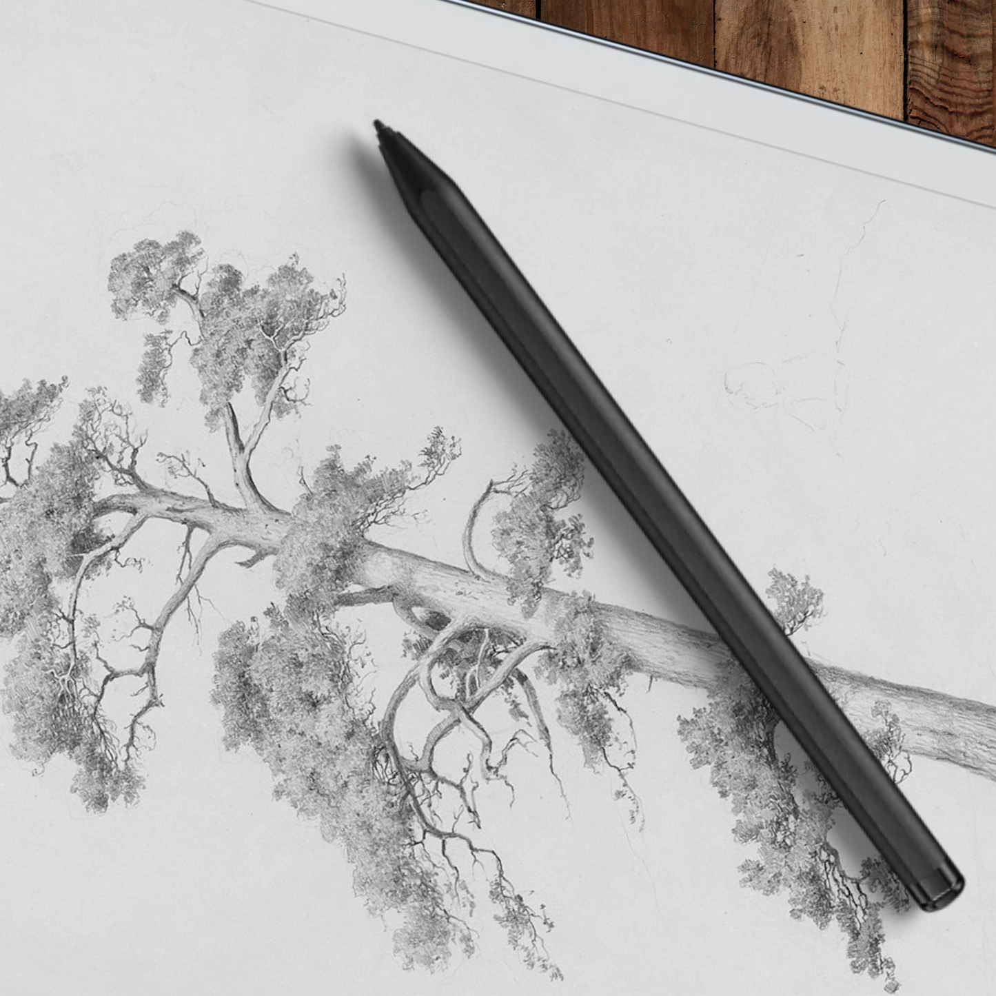 Remarkable 2 Sleep Screen & Notebook Cover Artwork - Inspirational Hand-Drawn Foliage Art