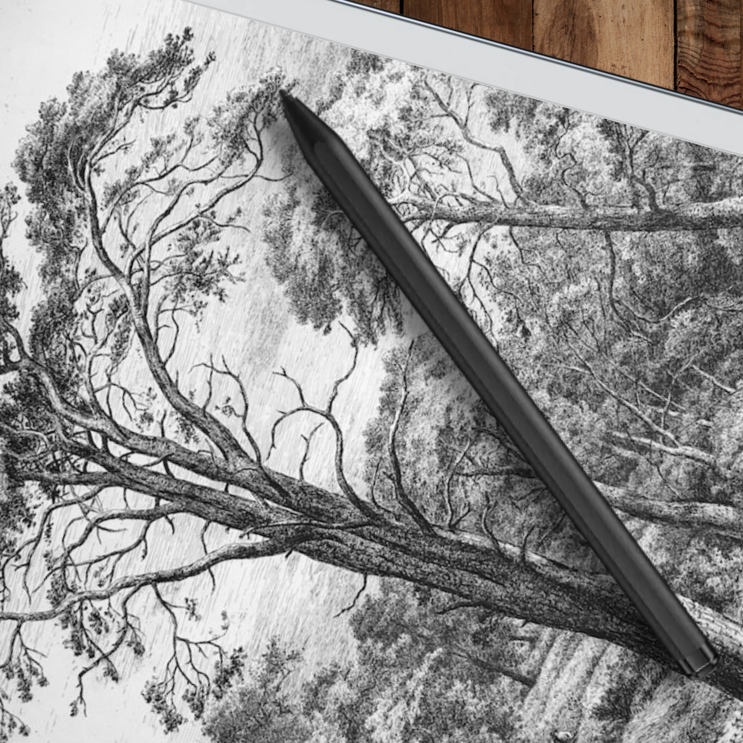 Remarkable 2 Sleep Screen & Notebook Cover Artwork - One-of-a-Kind Hand-Drawn Arboreal Artwork